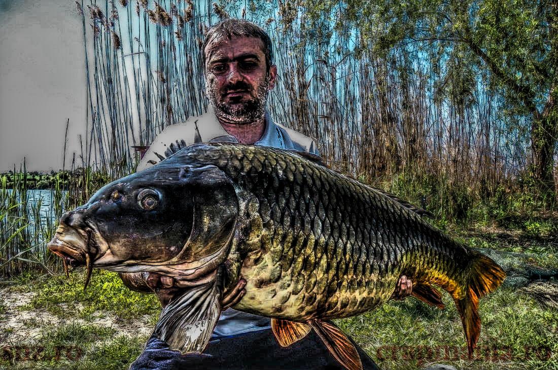 Trofeul Tancabesti - 2013 - 1010175hdrmode2.jpg